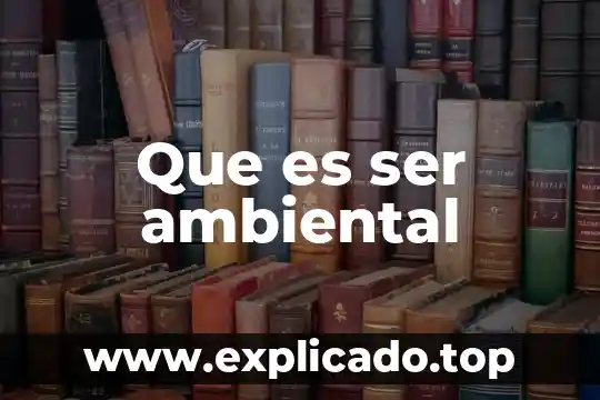 Que es la complejidad ambiental número de interfases externas 3 Que es ser ambiental