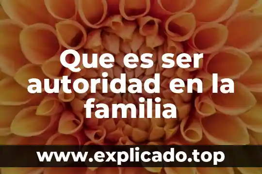 Que es una autoridad en una empresa 8 Que es ser autoridad en la familia