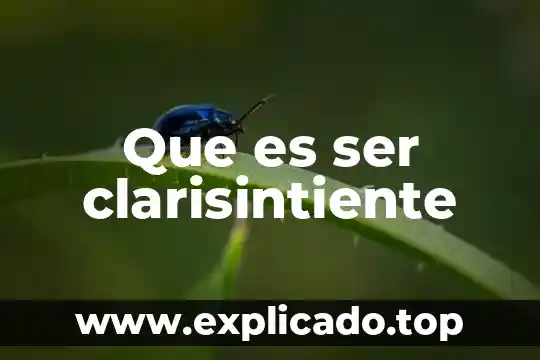 Que es ser un plebello 3 Que es ser clarisintiente