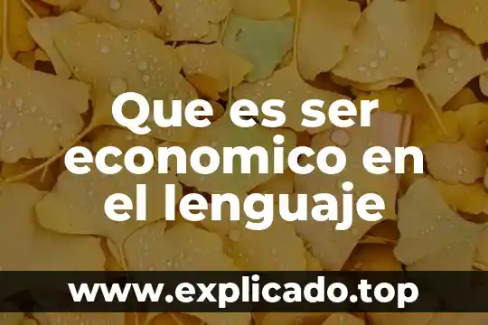 Qué es la comparación y dos ejemplos 3 Que es ser economico en el lenguaje
