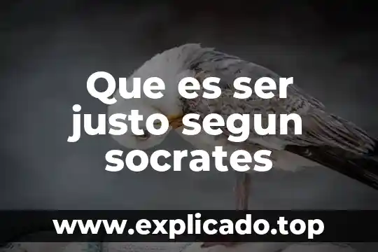 Que es la tecnologia segun autores 7 Que es ser justo segun socrates