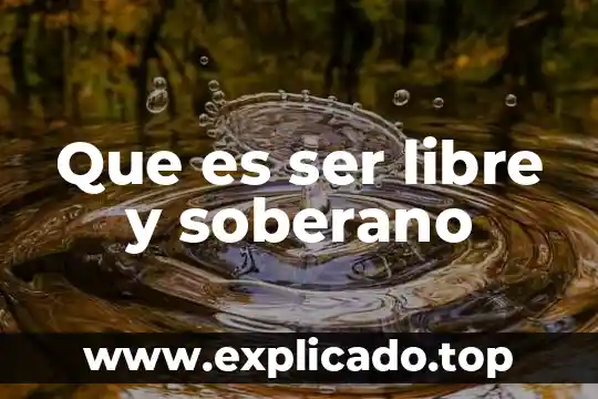 Que es un carboxilo libre 7 Que es ser libre y soberano