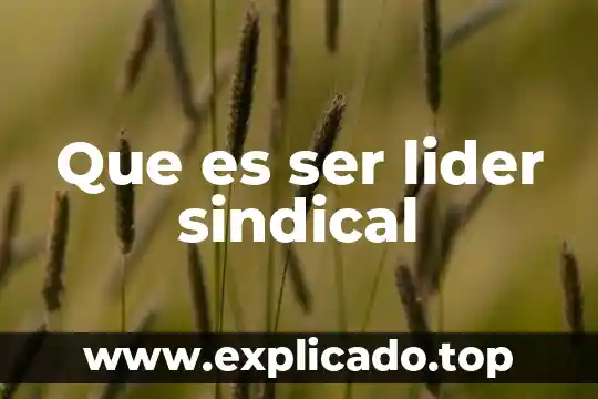 Que es ser un plebello 8 Que es ser lider sindical