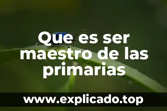 Que es ser huachicolero 4 Que es ser maestro de las primarias
