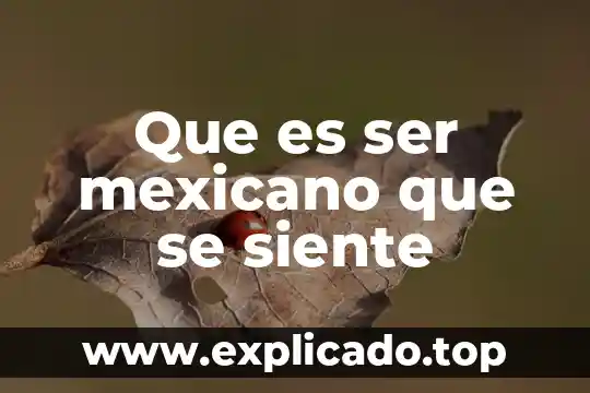 Que es ser mexicano que se siente