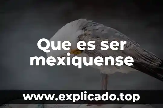 Que es ser nimada 6 Que es ser mexiquense