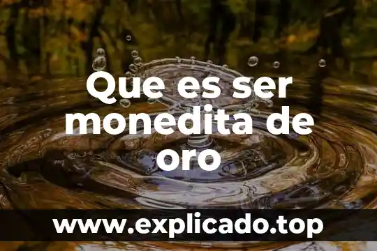 Que es ser huachicolero 8 Que es ser monedita de oro