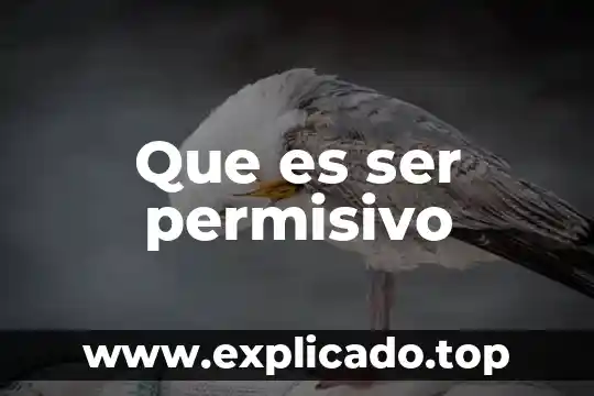 Que es ser huachicolero 7 Que es ser permisivo
