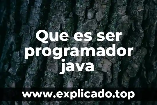 Qué es un programador de móvil 7 Que es ser programador java
