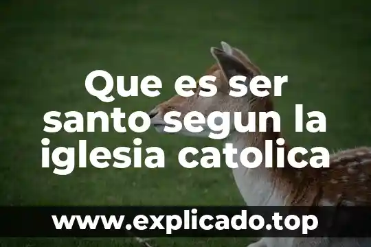 Que es el secularismo segun la iglesia catolica 8 Que es ser santo segun la iglesia catolica