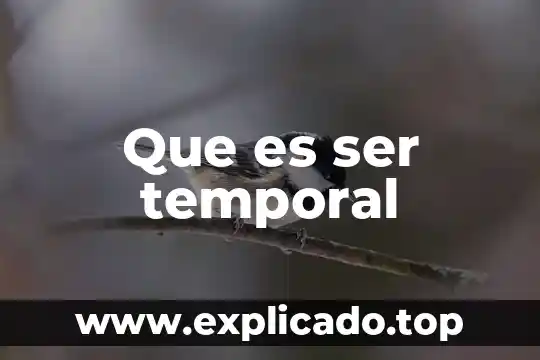 Que es ser un plebello 7 Que es ser temporal