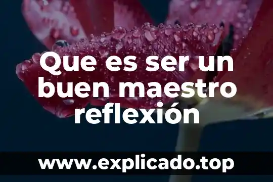 Que es el ser humano como un ser reflexion 4 Que es ser un buen maestro reflexión