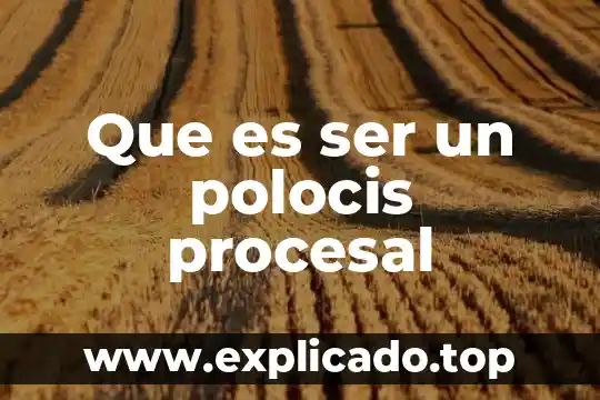 Que es unidad de seguridad procesal 4 Que es ser un polocis procesal