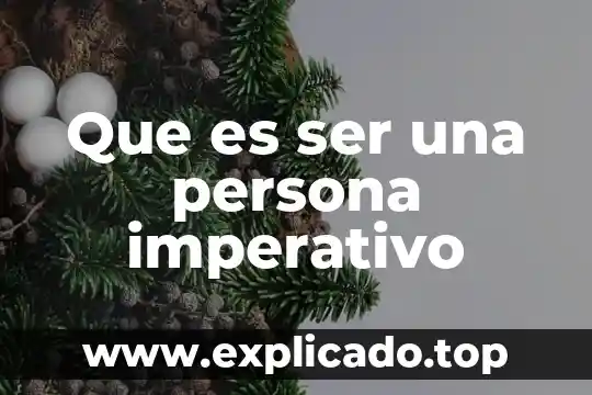 Que es determinar a una persona 6 Que es ser una persona imperativo