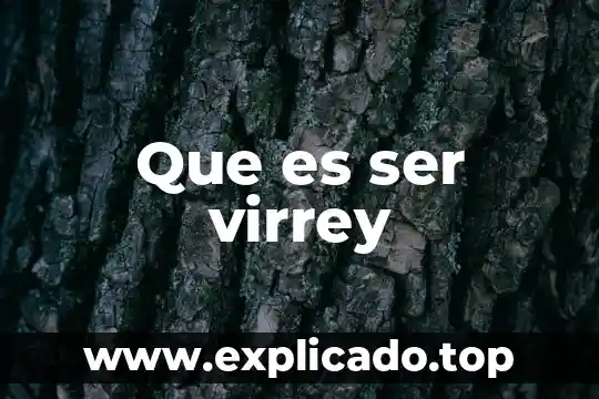 Que es el liber d una planta 6 Que es ser virrey