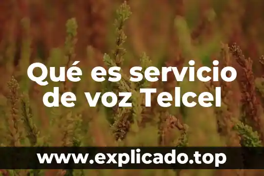 Que es plan fmto telcel 3 Qué es servicio de voz Telcel
