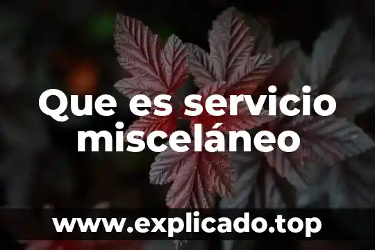 Que es el servicio informatico 4 Que es servicio misceláneo