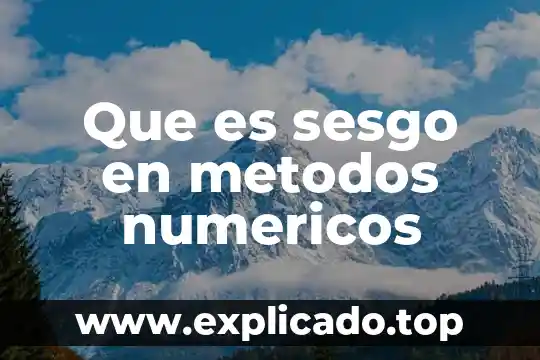 Letra que es de los conjuntos numéricos enteros 4 Que es sesgo en metodos numericos