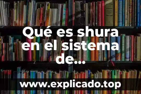 Qué es shura en el sistema de totalitarismo
