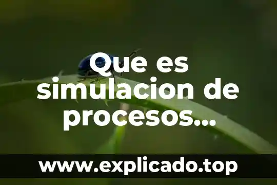 Que es la definición de sistema en simulacion 8 Que es simulacion de procesos productivos