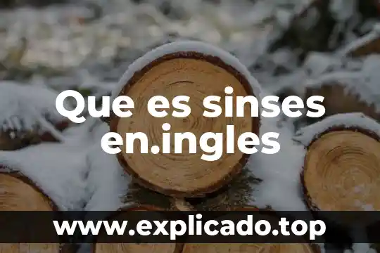 Qué es una línea tipográfica 6 Que es sinses en.ingles