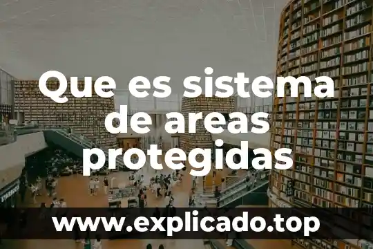 Que es diagrama de areas de empresa 5 Que es sistema de areas protegidas