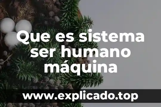 Que es defecto de una red de superficie informatica 8 Que es sistema ser humano máquina