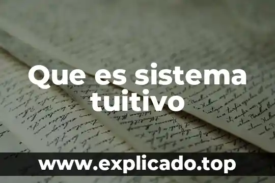 Que es sistema tuitivo