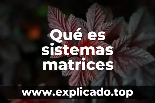 Que es sistemas concreto 6 Qué es sistemas matrices