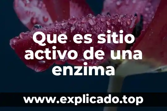 Que es sitio activo de una enzima