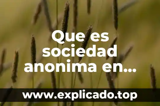 Que es la sociedad anonima yahoo 3 Que es sociedad anonima en mexico libro