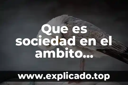 Que es programacion administrativo 6 Que es sociedad en el ambito administrativo