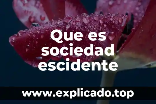 Que es la sociedad tredisional de trabajo villa frontera 3 Que es sociedad escidente