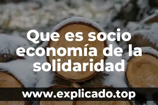 Que es la pet en economia 8 Que es socio economía de la solidaridad
