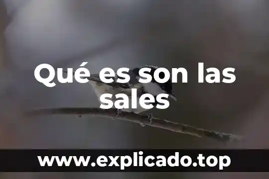 Sales oxisales que es 3 Qué es son las sales