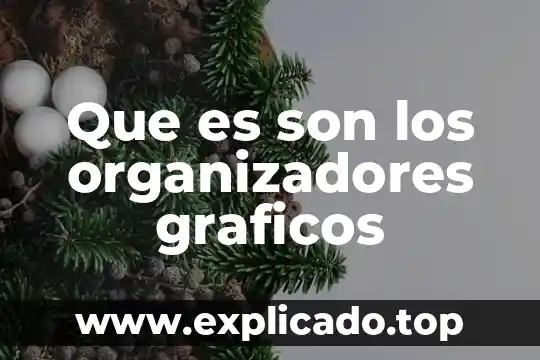 Qué es gráficos de medias 3 Que es son los organizadores graficos
