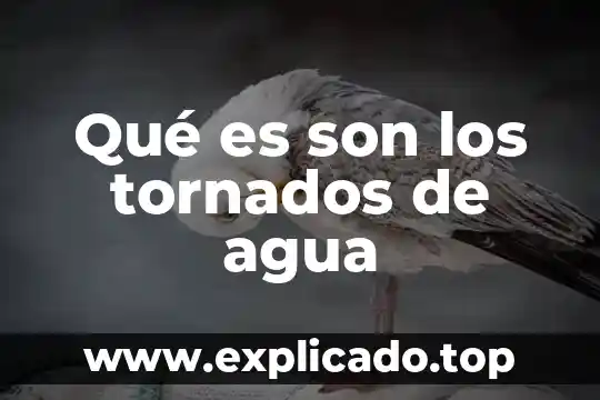 Qué es son los tornados de agua