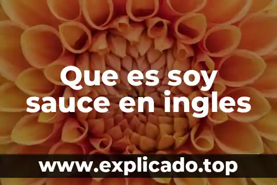Que es soy sauce en ingles