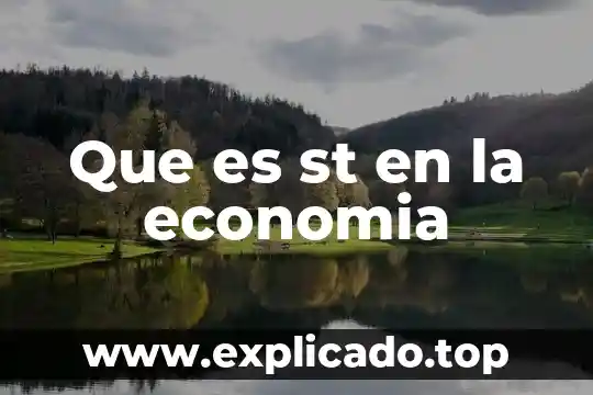 Que es isi en economia 6 Que es st en la economia