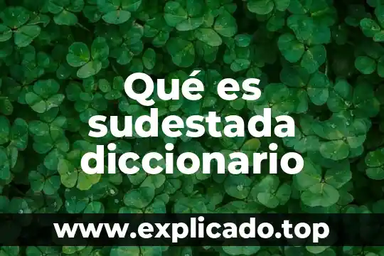 Qué es sudestada diccionario