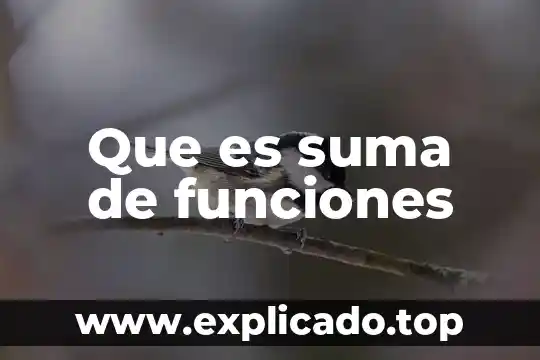 Núcleo celular qué es y funciones 8 Que es suma de funciones