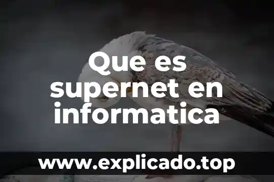 Que es alcance en unas politicas de seguridad informatica 5 Que es supernet en informatica