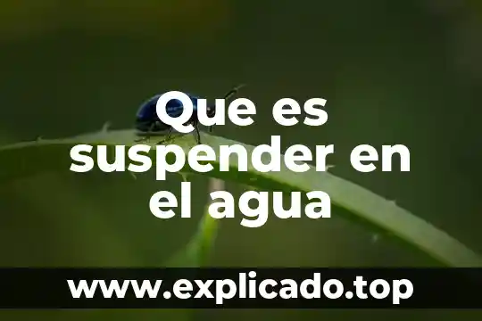 ¿Qué es un fluido en corriente de agua? 4 Que es suspender en el agua