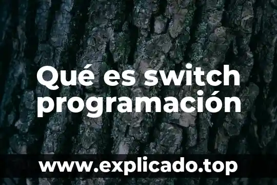 Port based switch que es 5 Qué es switch programación