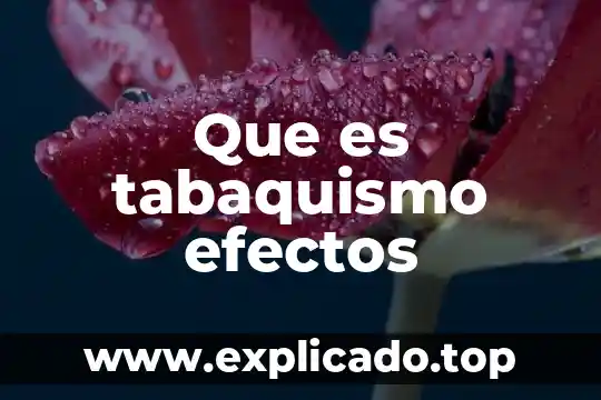 Información sobre lo dañino que es el tabaquismo 5 Que es tabaquismo efectos