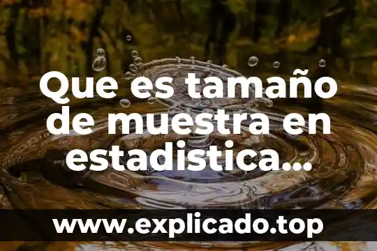 Que es una función estática en php 7 Que es tamaño de muestra en estadistica libro