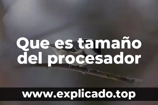 Qué es un procesador en PLC 3 Que es tamaño del procesador