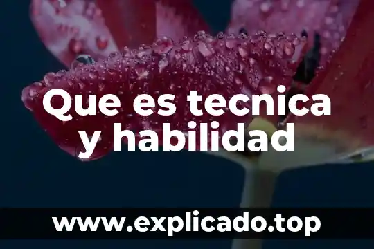 Que es la habilidad de resolver problemas matematicos 8 Que es tecnica y habilidad