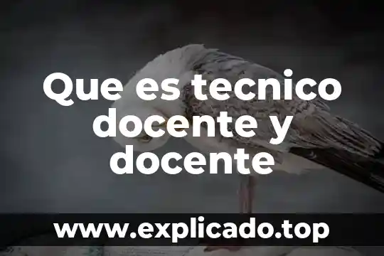 Que es tecnico de laboratorio 7 Que es tecnico docente y docente