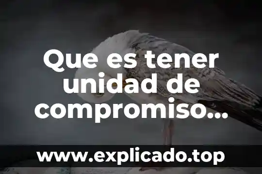 Que es tener unidad de compromiso en equipo